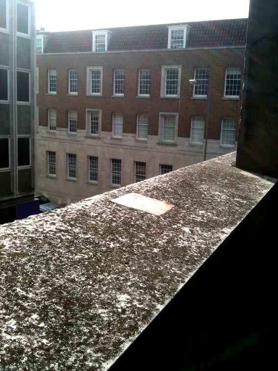 Photo E. Whittaker: Carpark, Blast Theory's 'Machine to See With', Brighton